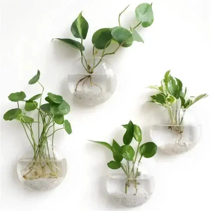 Elegante Glas Wandvase – Minimalistischer Pflanzenhalter