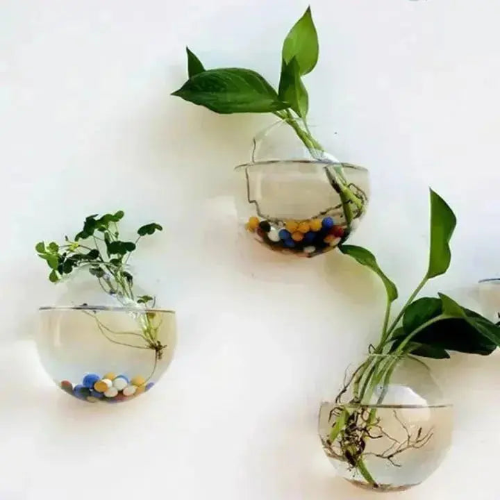 Elegante Glas Wandvase – Minimalistischer Pflanzenhalter