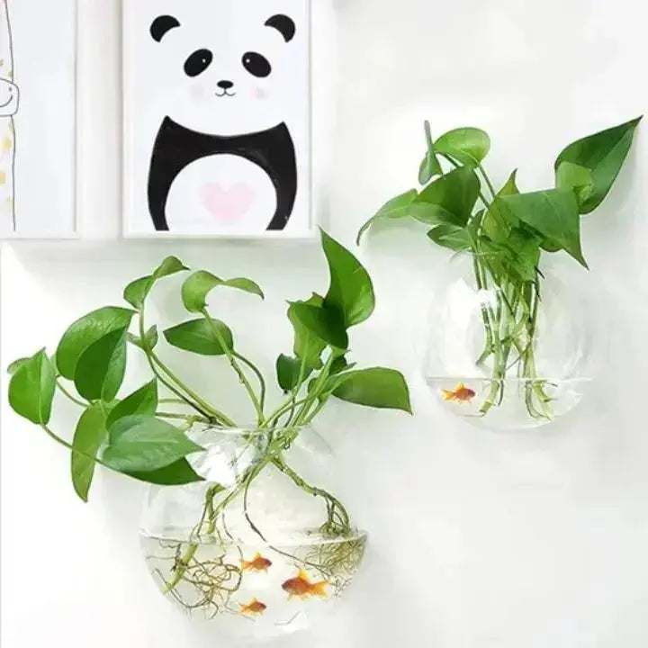 Elegante Glas Wandvase – Minimalistischer Pflanzenhalter