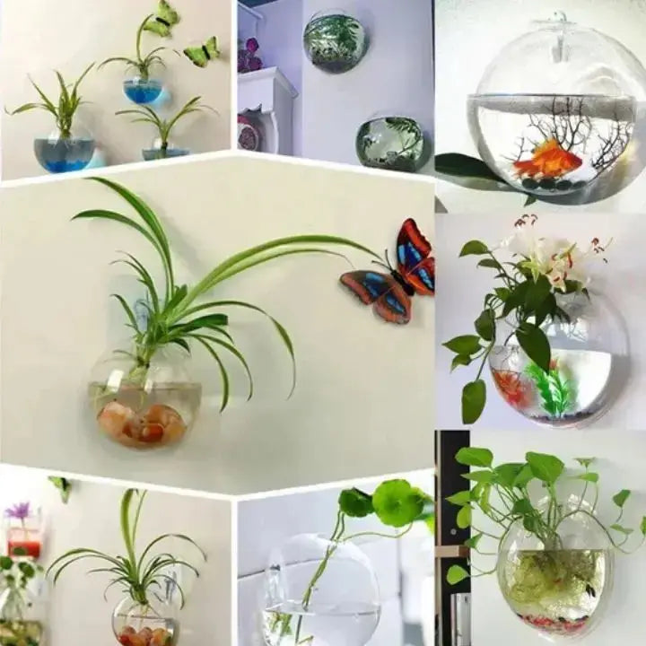 Elegante Glas Wandvase – Minimalistischer Pflanzenhalter