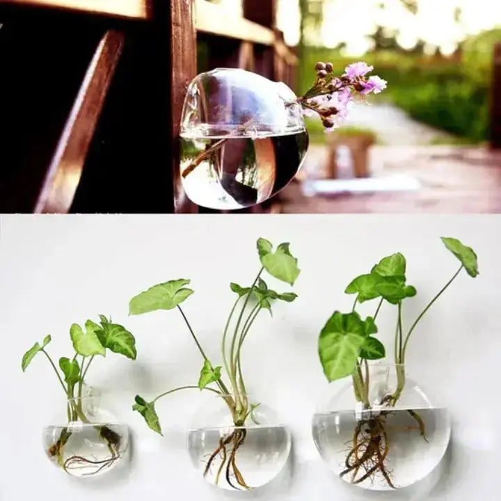 Elegante Glas Wandvase – Minimalistischer Pflanzenhalter