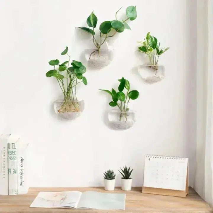 Elegante Glas Wandvase – Minimalistischer Pflanzenhalter