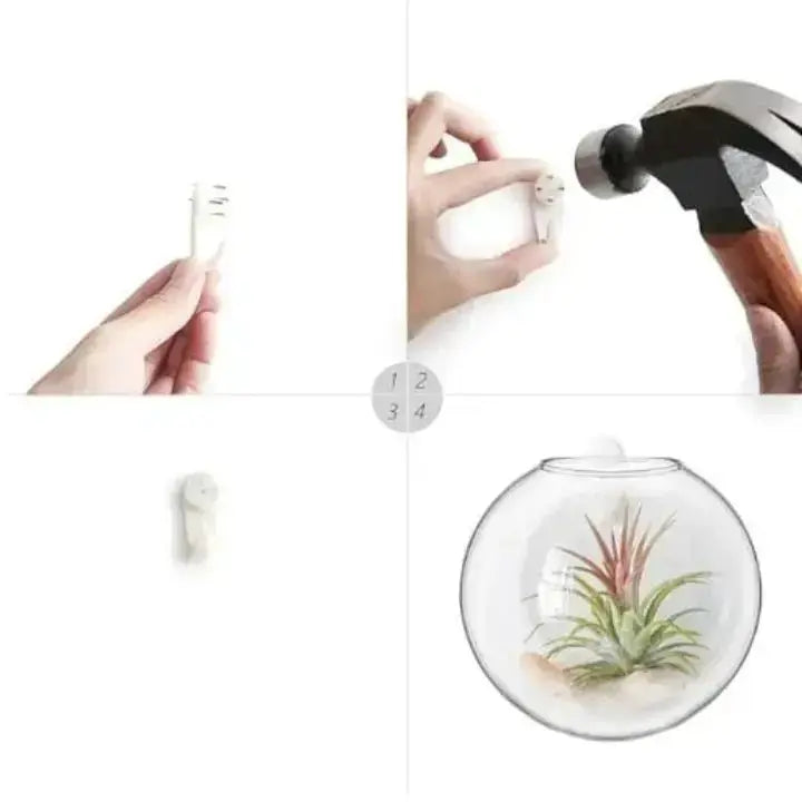 Elegante Glas Wandvase – Minimalistischer Pflanzenhalter
