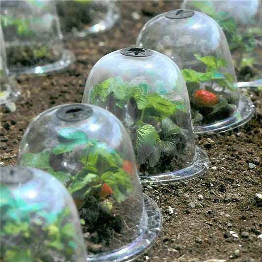Frostschutz Klare Garten Pflanzenabdeckung | Brehn