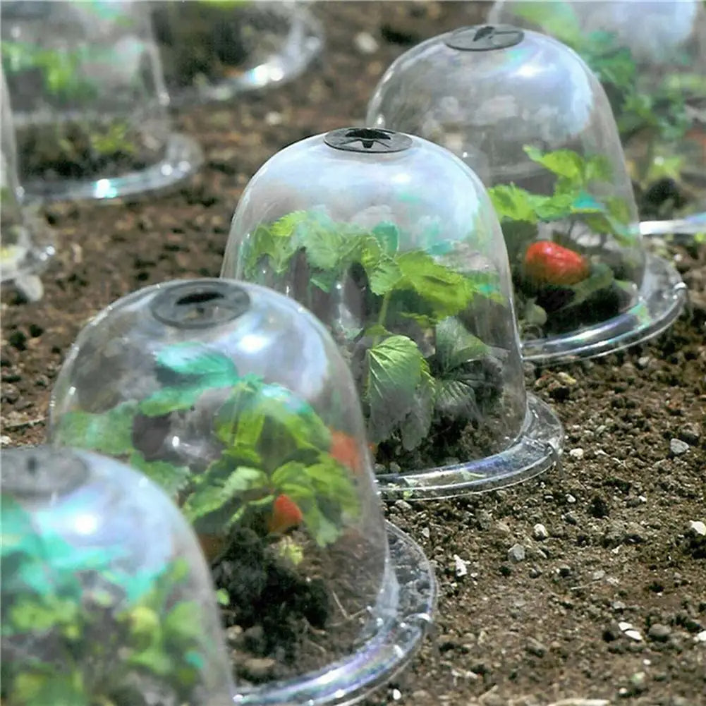 Frostschutz Klare Garten Pflanzenabdeckung