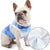 FrostyPet Frenchie Sommer Kühlweste | Brehn