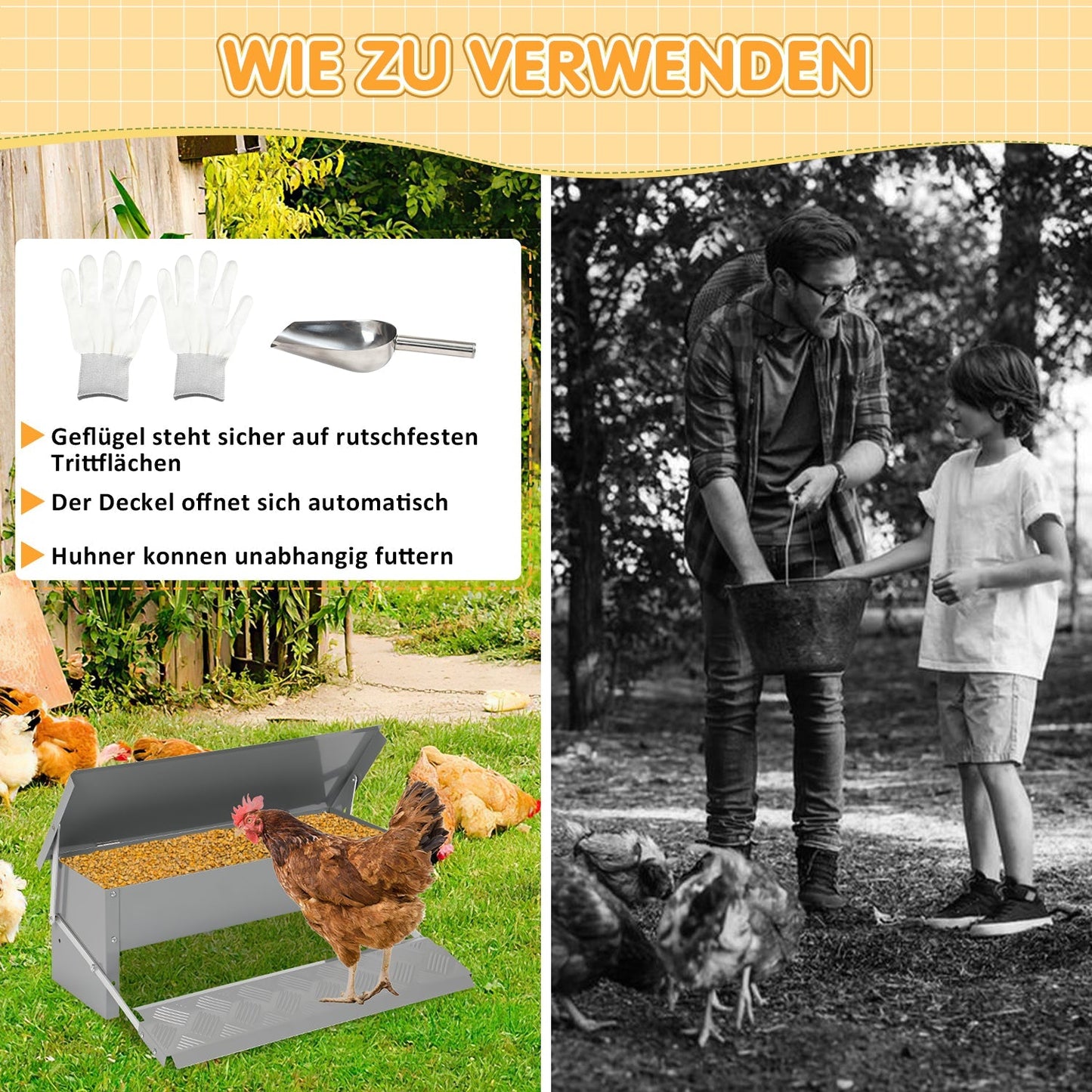 Futterautomat Futterspender mit Handschuhe 5kg | Brehn