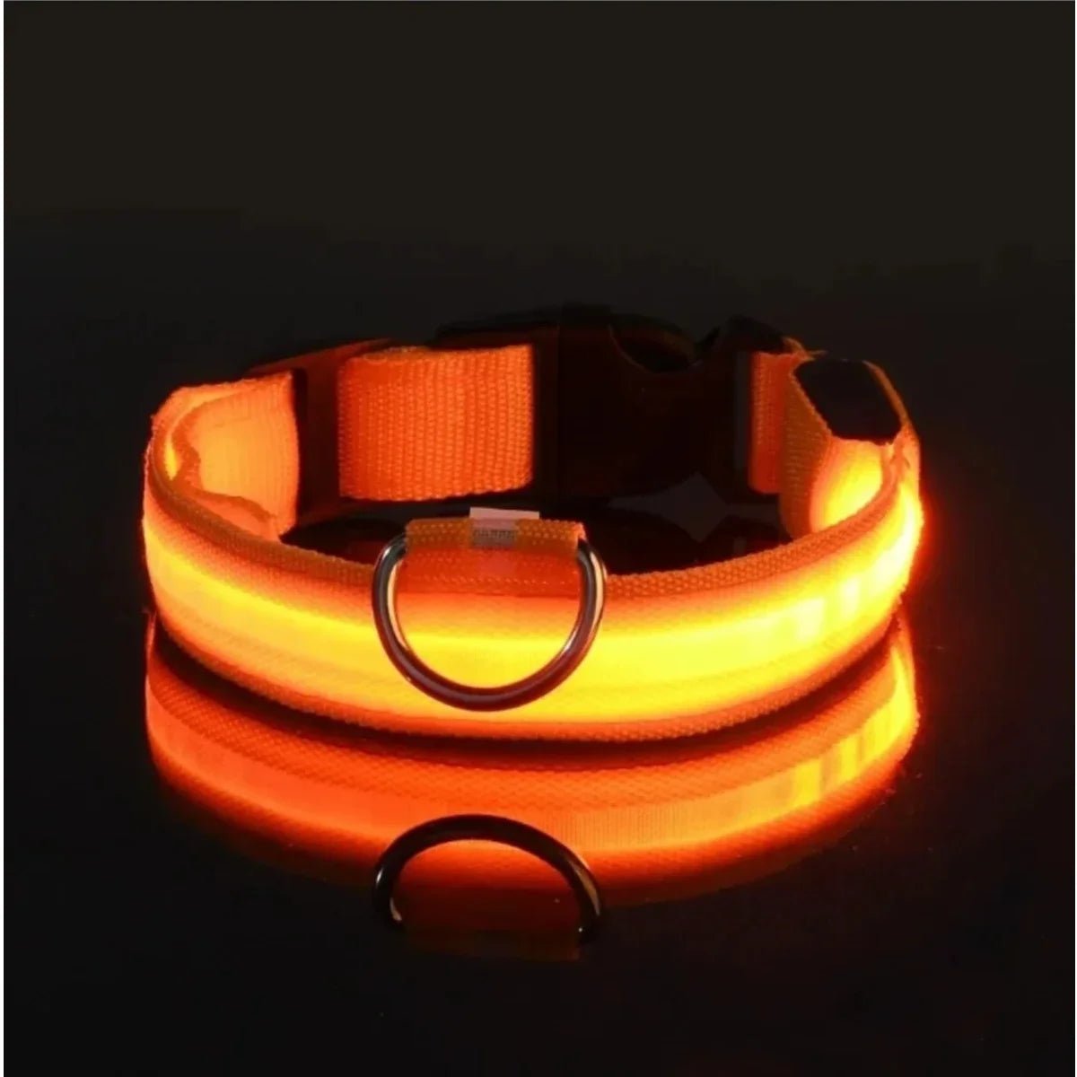 LED-Sicherheitshalsband für Hunde mit verstellbarer Passform