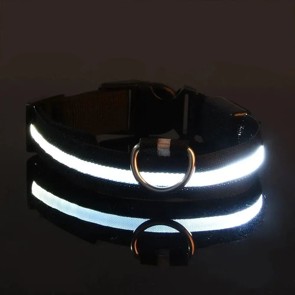 LED-Sicherheitshalsband für Hunde mit verstellbarer Passform