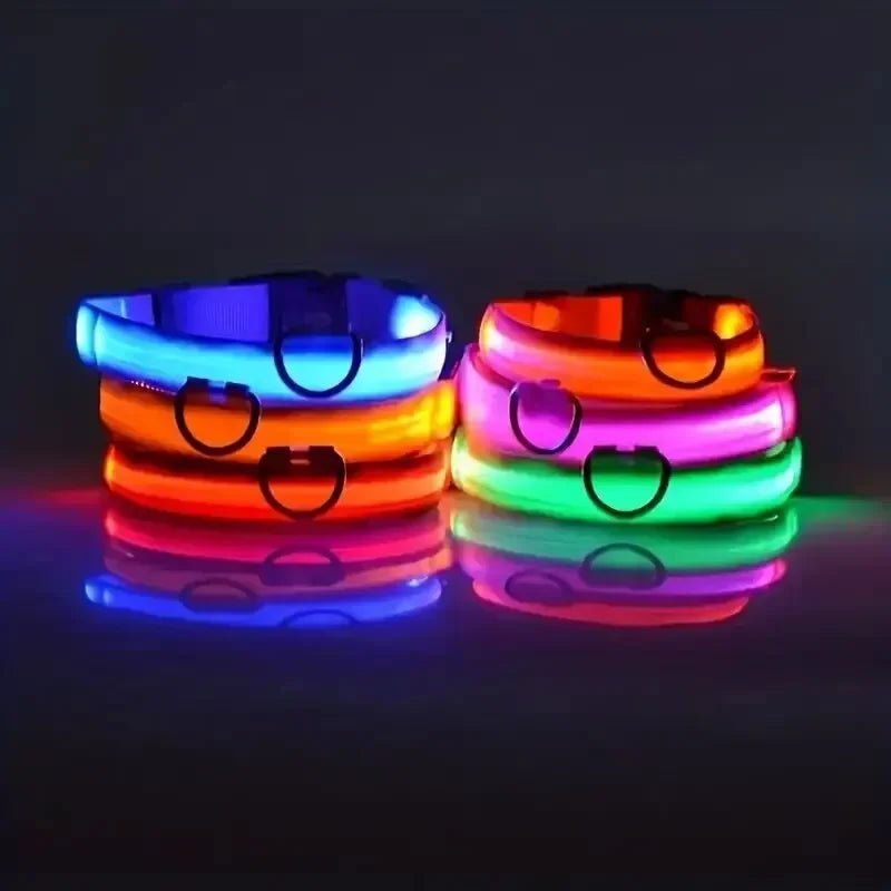 LED-Sicherheitshalsband für Hunde mit verstellbarer Passform