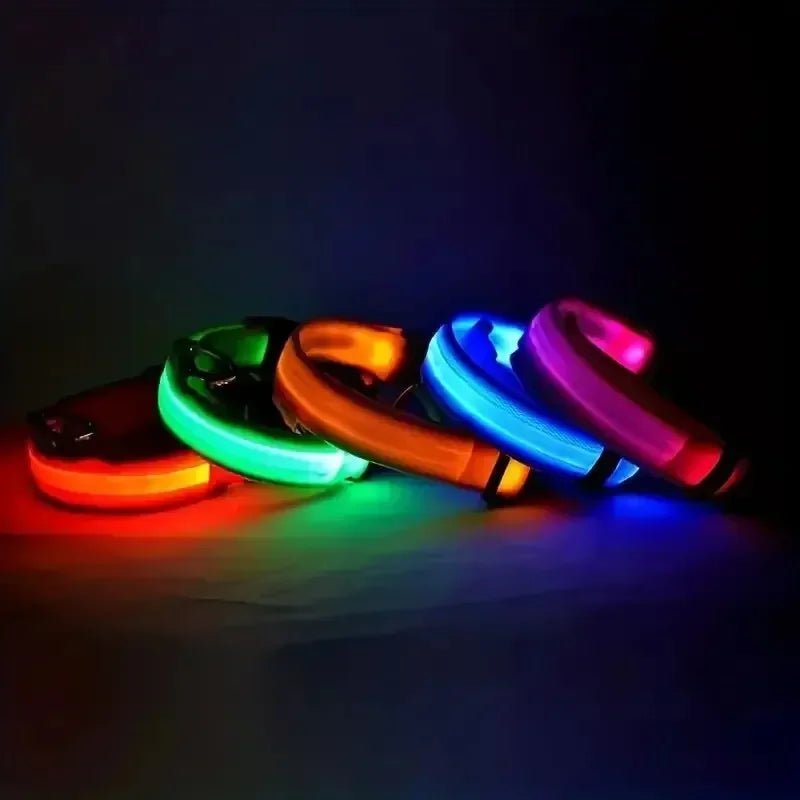 LED-Sicherheitshalsband für Hunde mit verstellbarer Passform