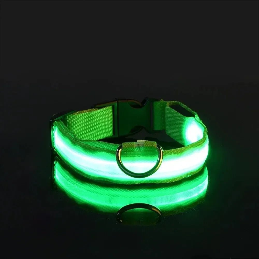 LED-Sicherheitshalsband für Hunde mit verstellbarer Passform