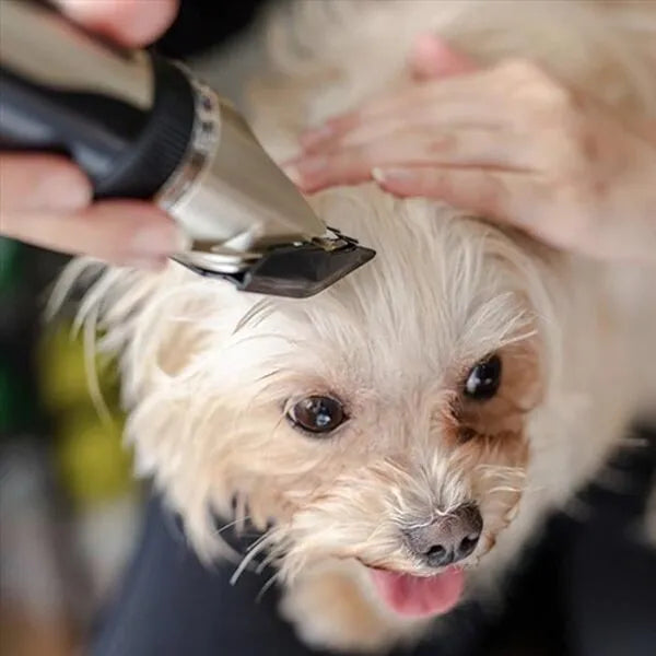 Silent Coat Trimmer Set für Hunde Brehn