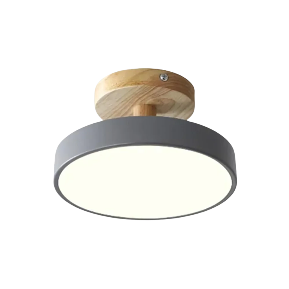 Brehn | Kompakte moderne LED-Deckenlampe
