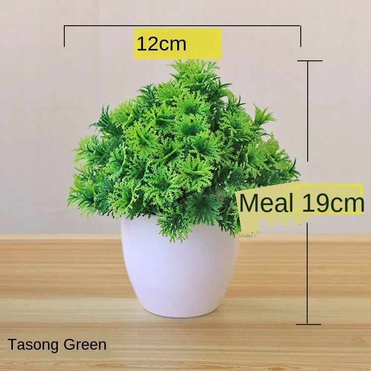Kleine Bonsai-Pflanzen im Topf