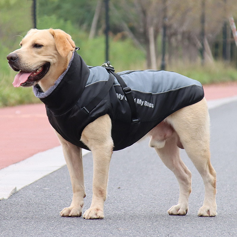 Brehn | Wasserdichte Winterhundejacken
