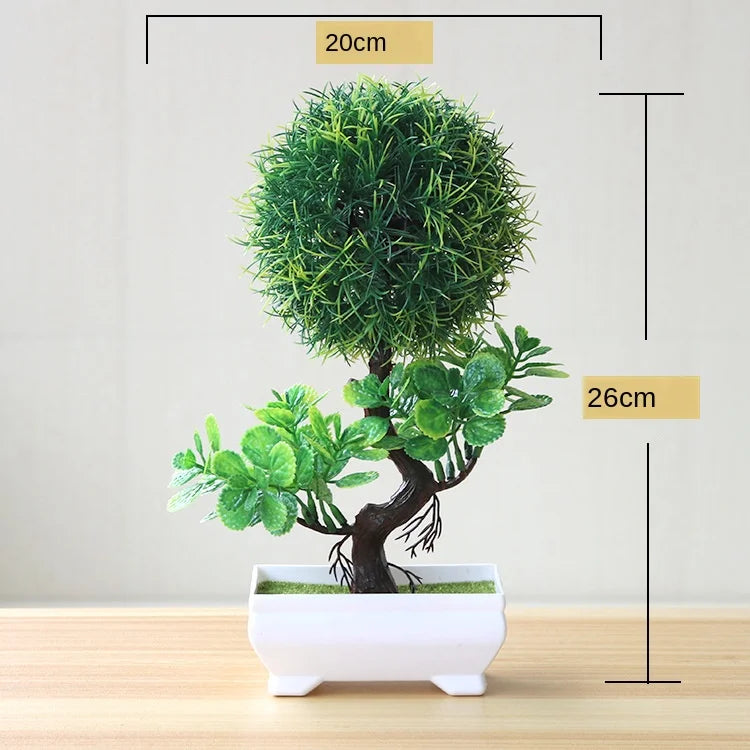 Brehn | Kleine Baumtopf Bonsai Pflanzen