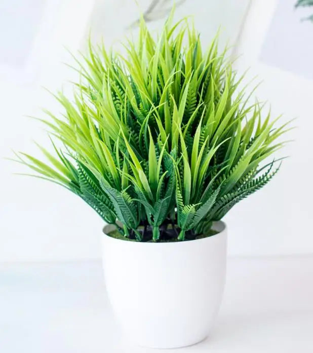 Kleine Bonsai-Pflanzen im Topf