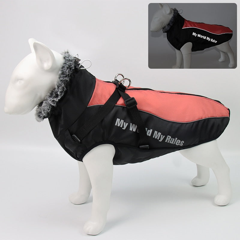 Brehn | Wasserdichte Winterhundejacken