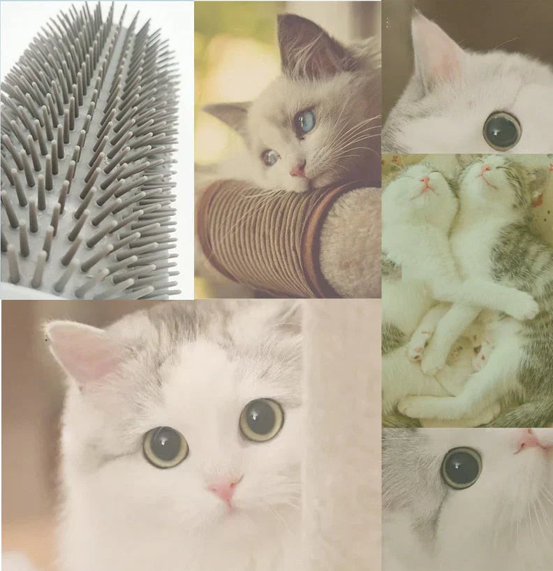 Selbstpflege Katzen Eckenbürste – FurRelaxer Brehn