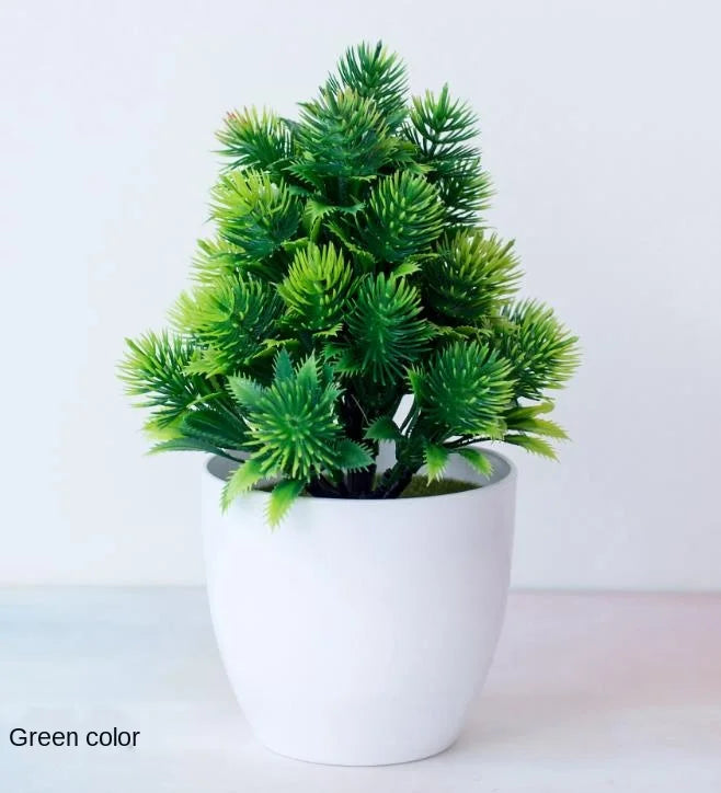 Brehn | Kleine Baumtopf Bonsai Pflanzen