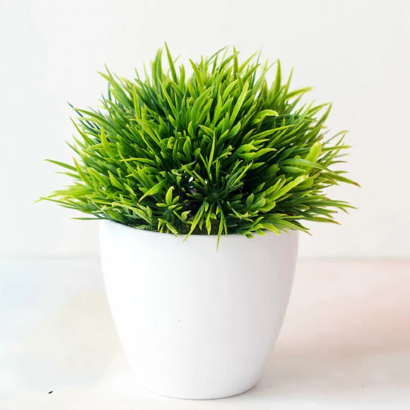 Brehn | Kleine Baumtopf Bonsai Pflanzen