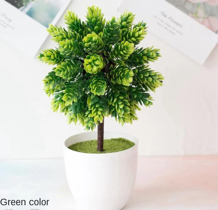 Brehn | Kleine Baumtopf Bonsai Pflanzen