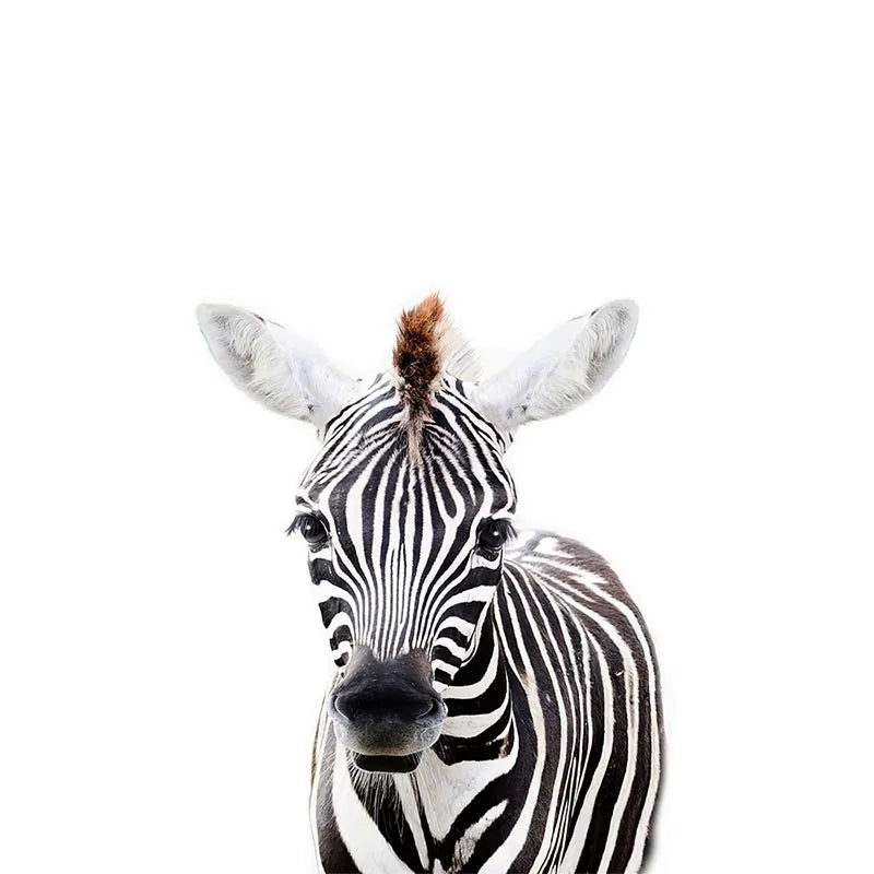 Baby Süße Tiere Wandaufkleber Für das Kinderzimmer Abnehmbar Peel and Stick Vinyl Wandtattoos Für das Zimmer des Babys Kreative DIY Wanddekoration | Brehn