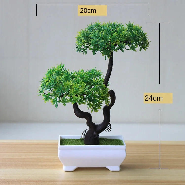 Brehn | Kleine Baumtopf Bonsai Pflanzen