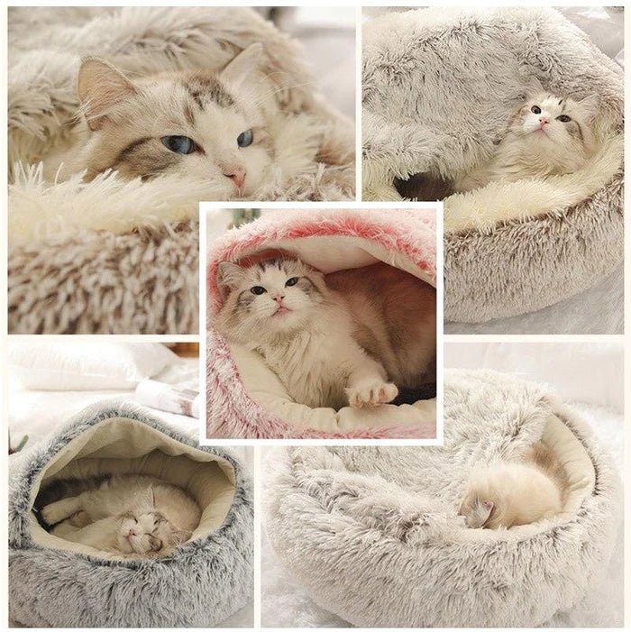 KittyCove Ultimativer Komfort für Ihre Katze | Brehn
