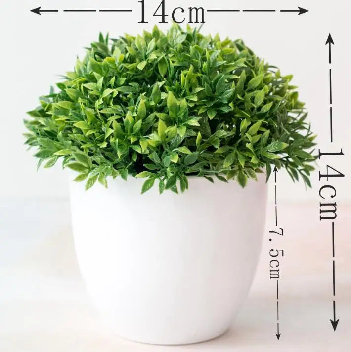Kleine Bonsai-Pflanzen im Topf