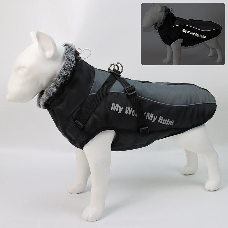 Brehn | Wasserdichte Winterhundejacken