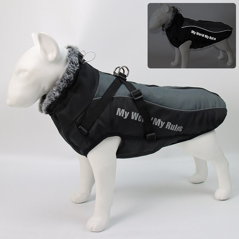 Brehn | Wasserdichte Winterhundejacken