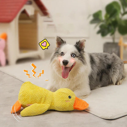 Beruhigender Enten für Hunde