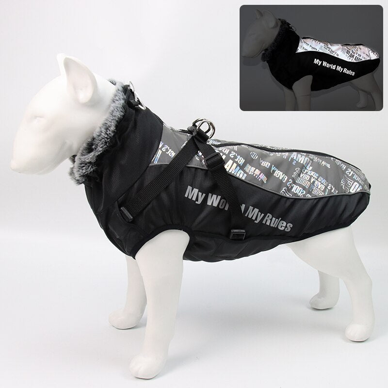 Brehn | Wasserdichte Winterhundejacken