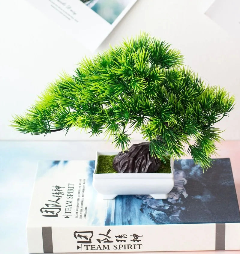 Brehn | Kleine Baumtopf Bonsai Pflanzen