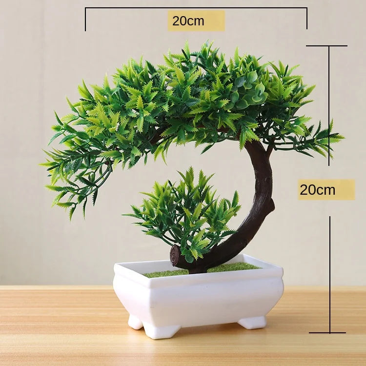 Kleine Bonsai-Pflanzen im Topf