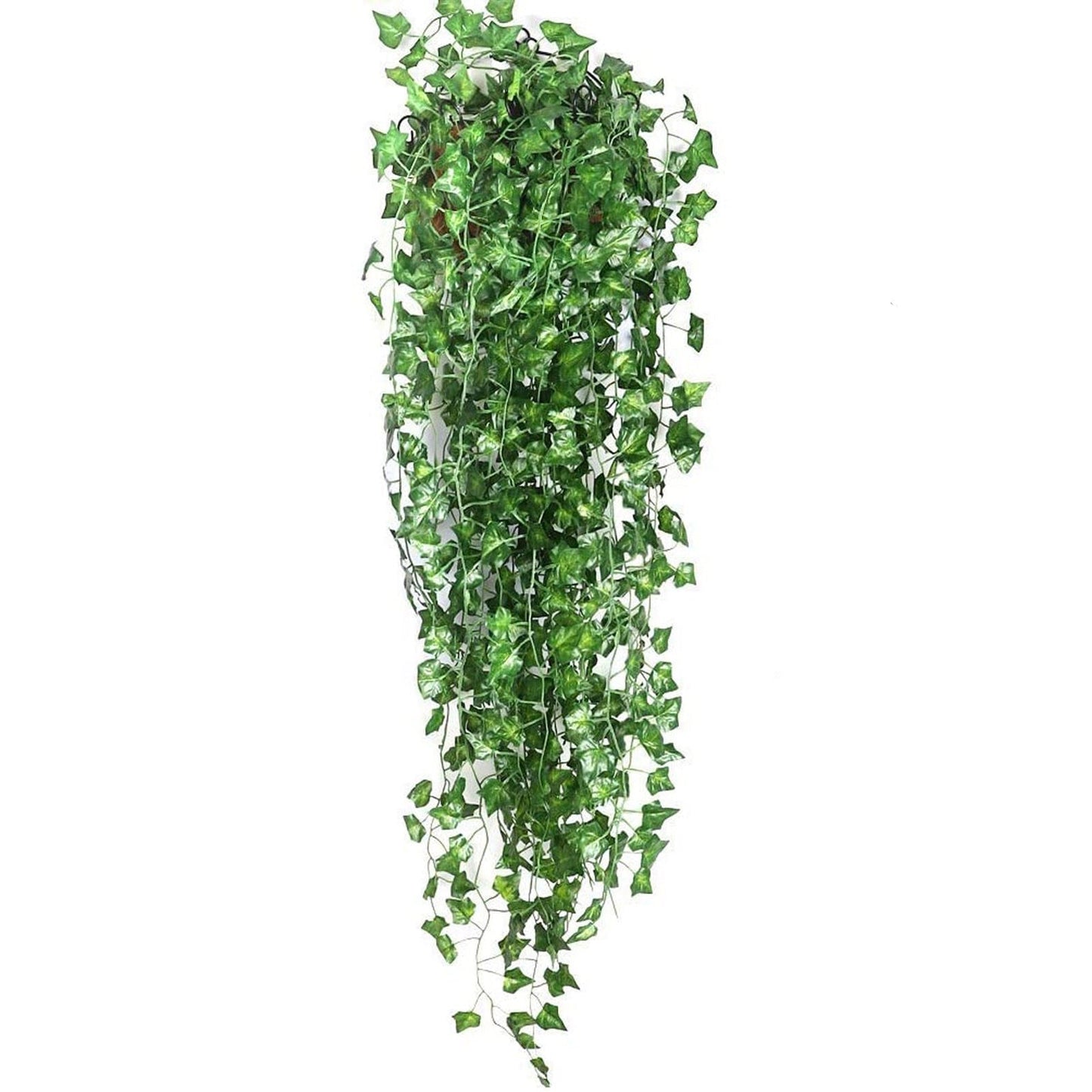 Brehn | Eindhoven Evergreen | Unabhängig von der Saison sind Ihre Blätter lebendig und grün!