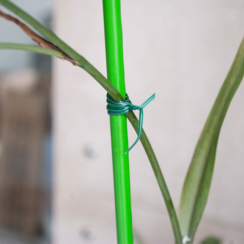 Garten Draht Easy Tie Kabel Werkzeug | Brehn