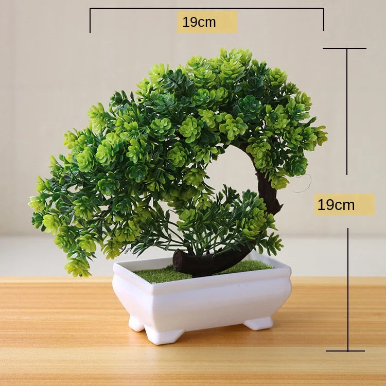 Brehn | Kleine Baumtopf Bonsai Pflanzen