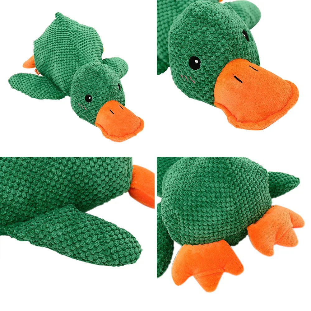 Beruhigender Enten für Hunde