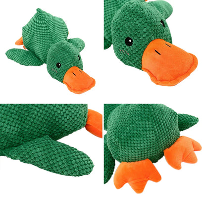 Beruhigender Enten für Hunde