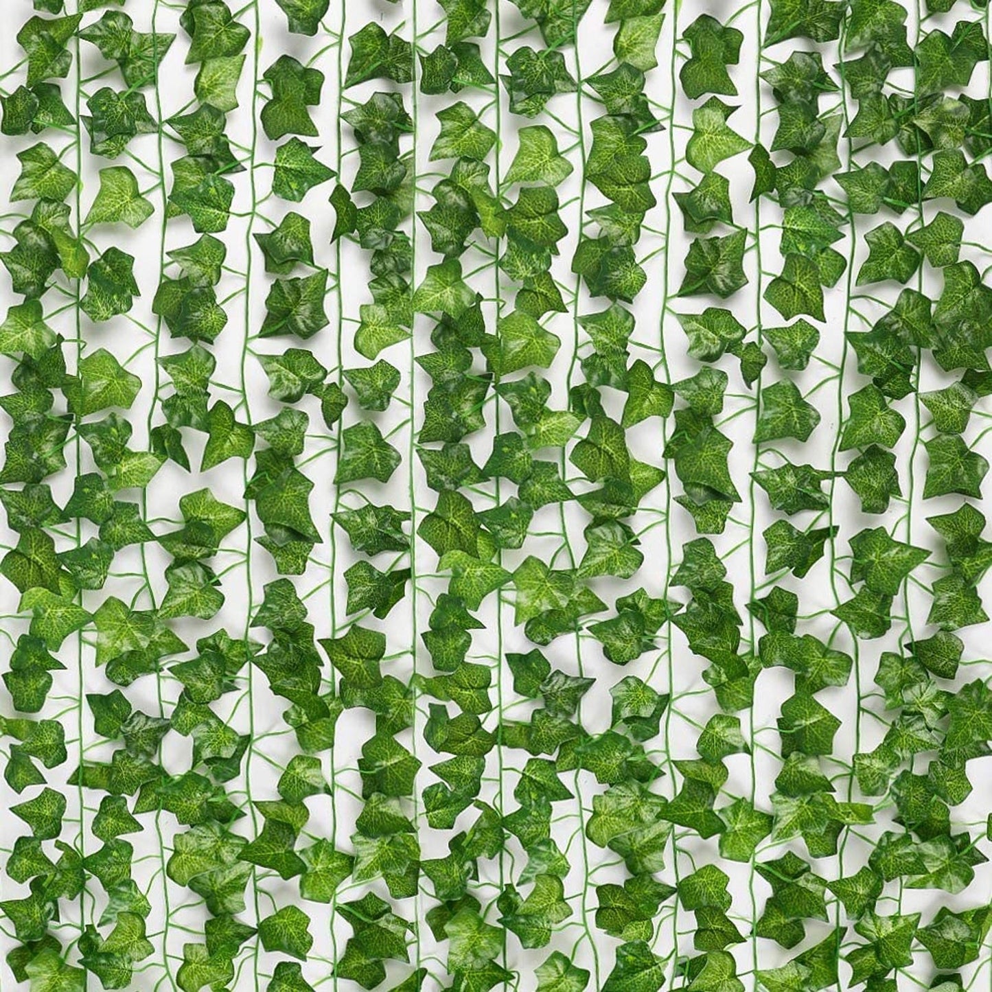 Brehn | Eindhoven Evergreen | Unabhängig von der Saison sind Ihre Blätter lebendig und grün!