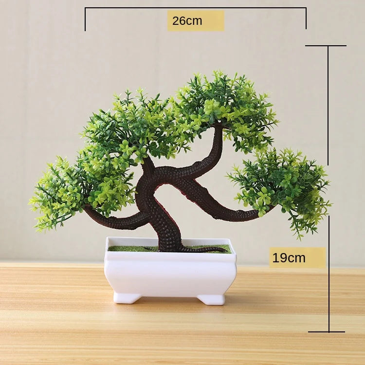 Brehn | Kleine Baumtopf Bonsai Pflanzen