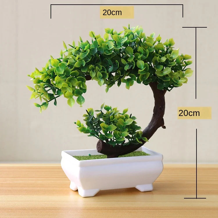 Brehn | Kleine Baumtopf Bonsai Pflanzen