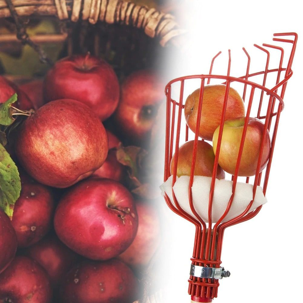 Früchtepflücker Werkzeug | Brehn