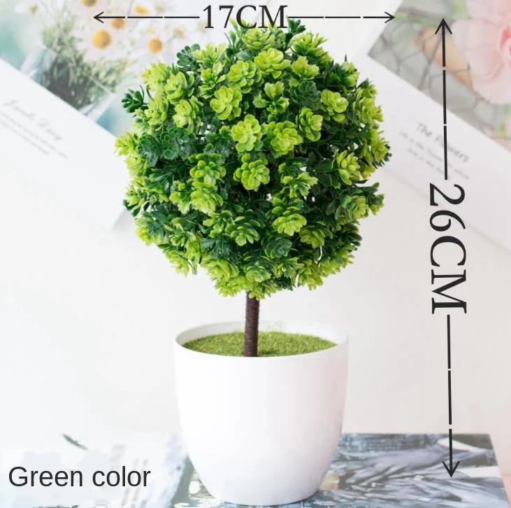 Brehn | Kleine Baumtopf Bonsai Pflanzen