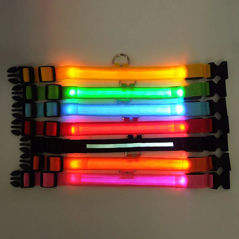 GlowPets LED-Halsband – Sicherheit und Sichtbarkeit für Haustiere