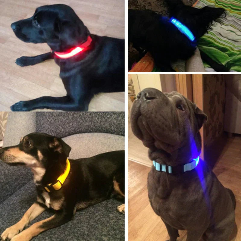 GlowPets LED-Halsband – Sicherheit und Sichtbarkeit für Haustiere