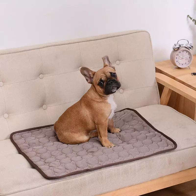 Sommer kühlende Hundematte: Atmungsaktive Matte für Hunde und Katzen - Waschbare Haustierdecke für kleine, mittlere und große Hunde, ideal für Autos | Brehn